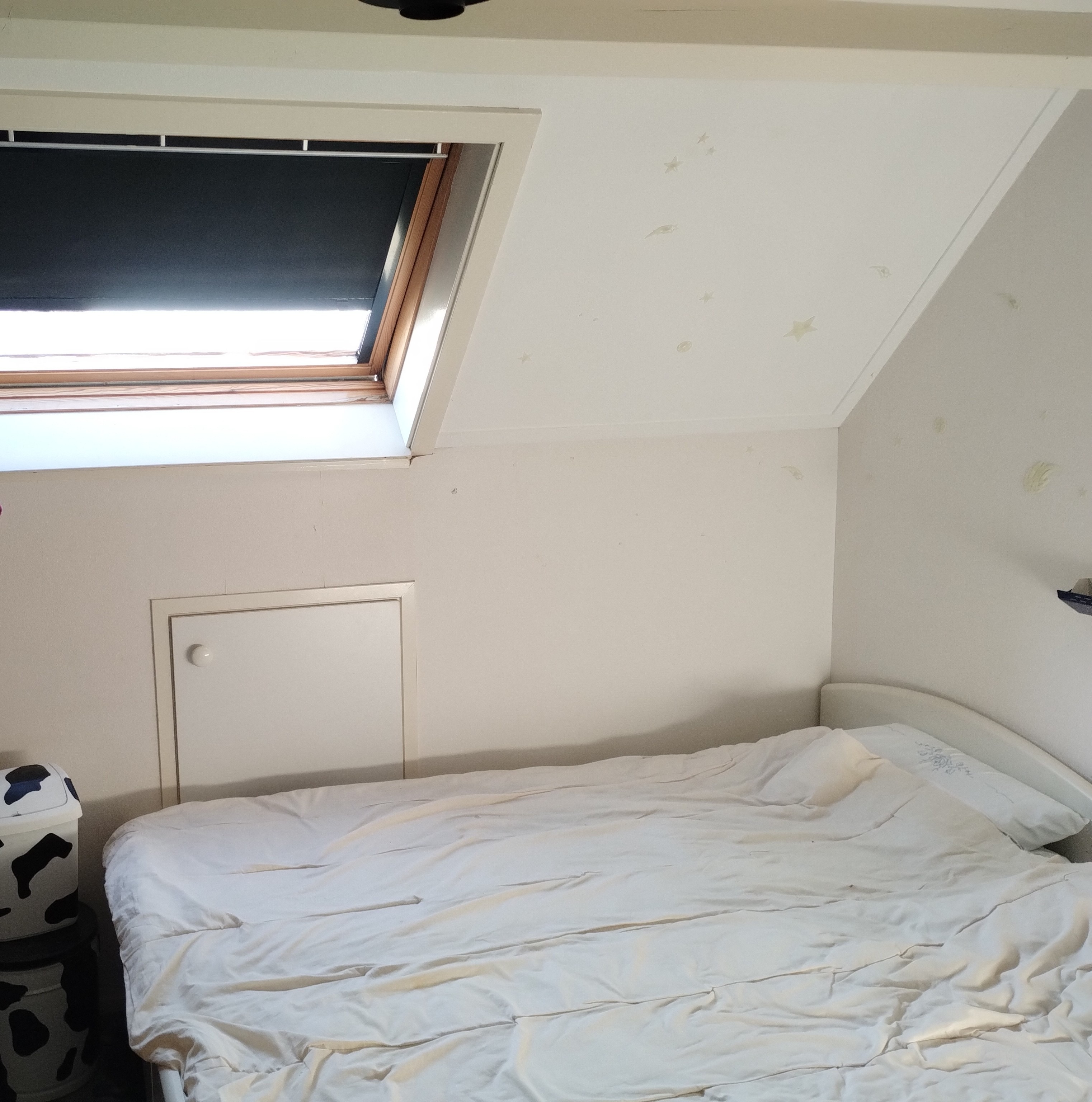 Kamer Schijfmos in Houten