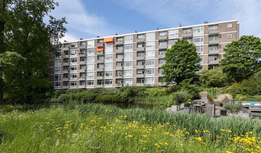 Appartement - Sportlaan/Den Haag (€865.00/59.00m2)