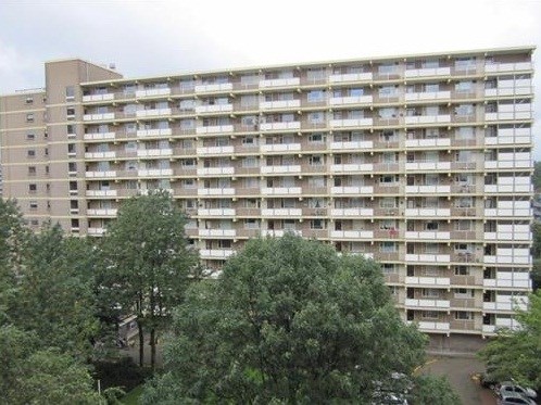 Apartment Dadeltuin in Rotterdam