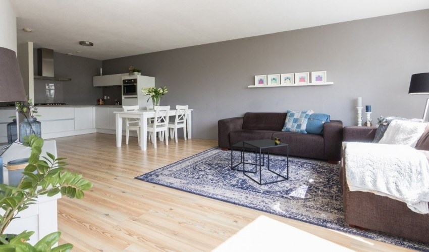 Huurwoningen Appartementen Studio s En Kamers Te Huur