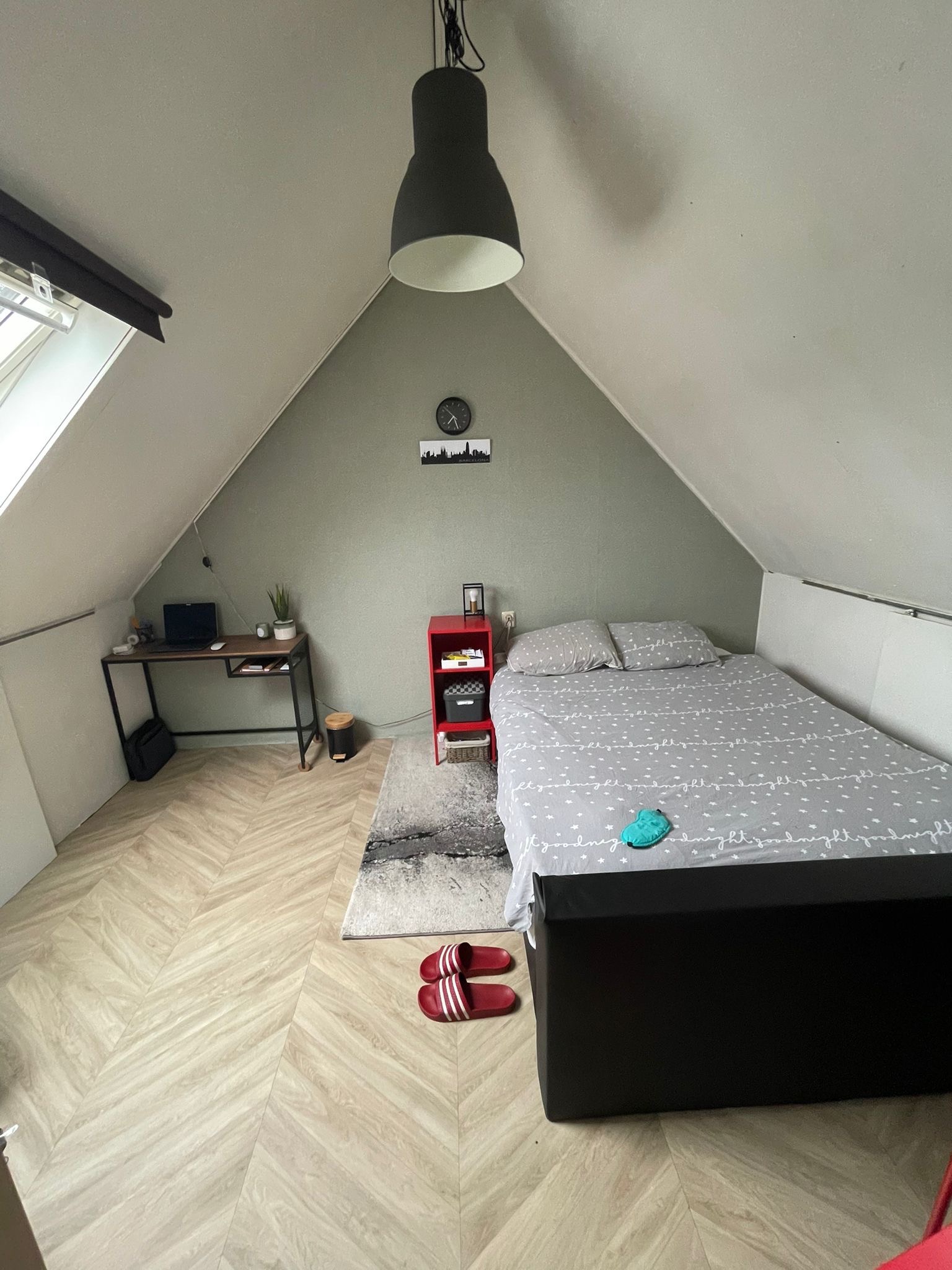 Kamer Louis Pasteurstraat in Haarlem
