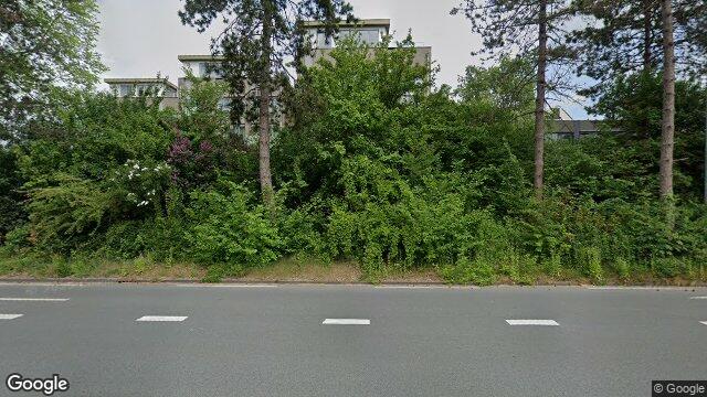 Studio Rogier van der Weydestraat in Alkmaar