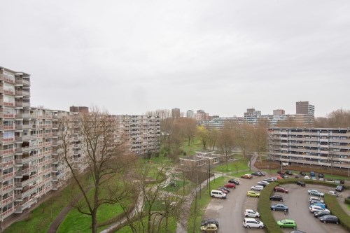 Apartment Jonkerbos in Zoetermeer