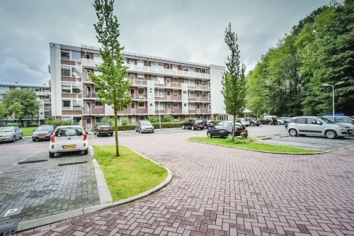 Apartment Leverkruidweg in Zaandam