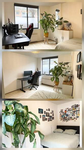 Room Nieuw Sloten in Amsterdam