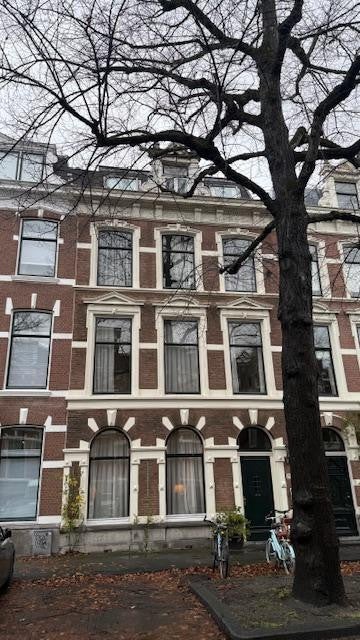 House Jan van Nassaustraat in Den Haag