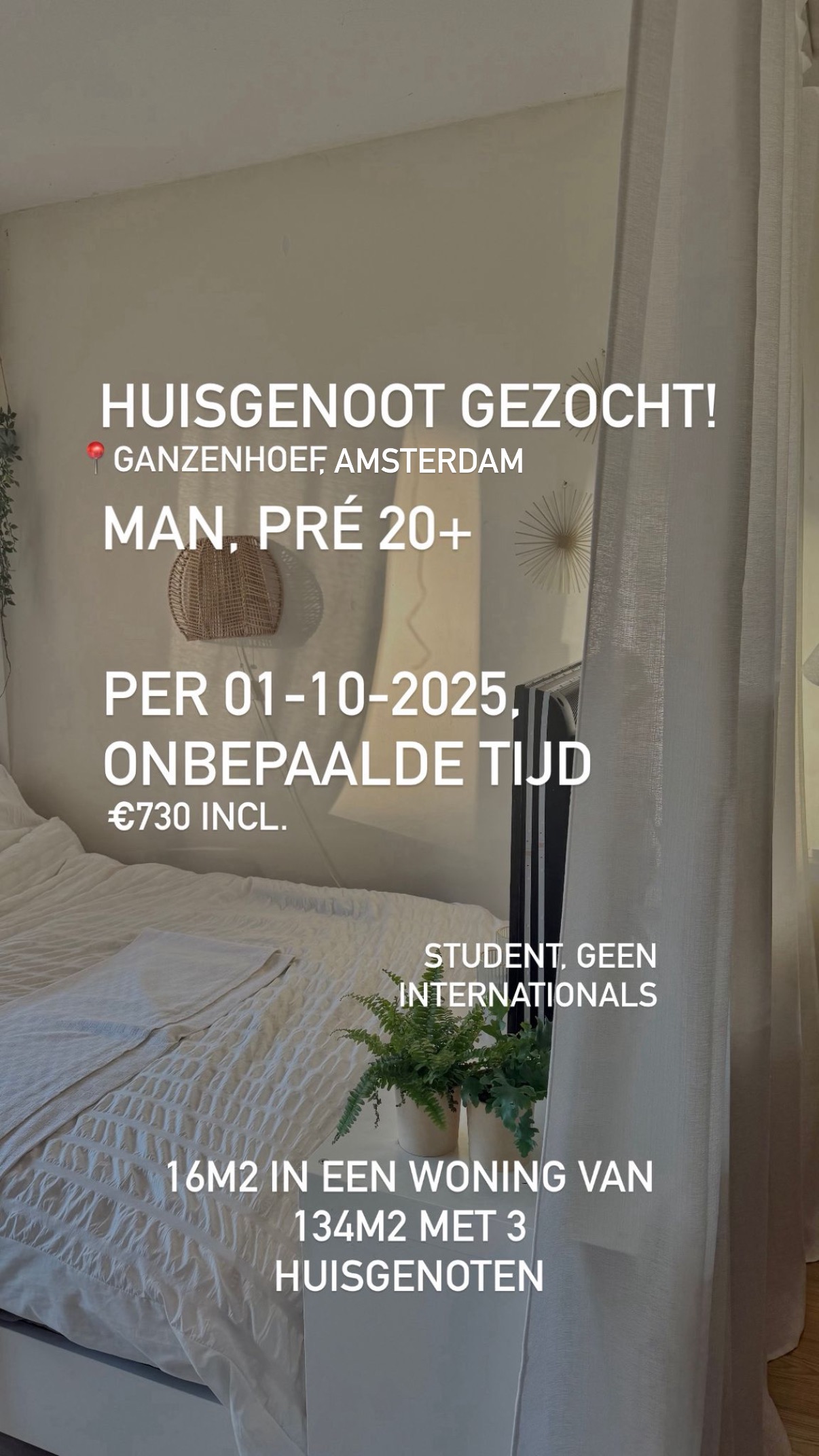 Room Grubbehoeve in Amsterdam
