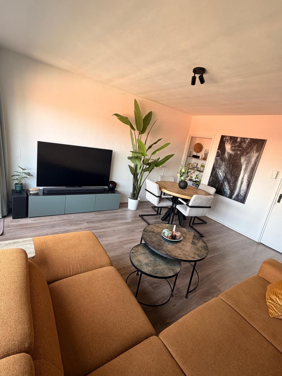 Apartment Jacob van Heemskerckstraat in Den Bosch
