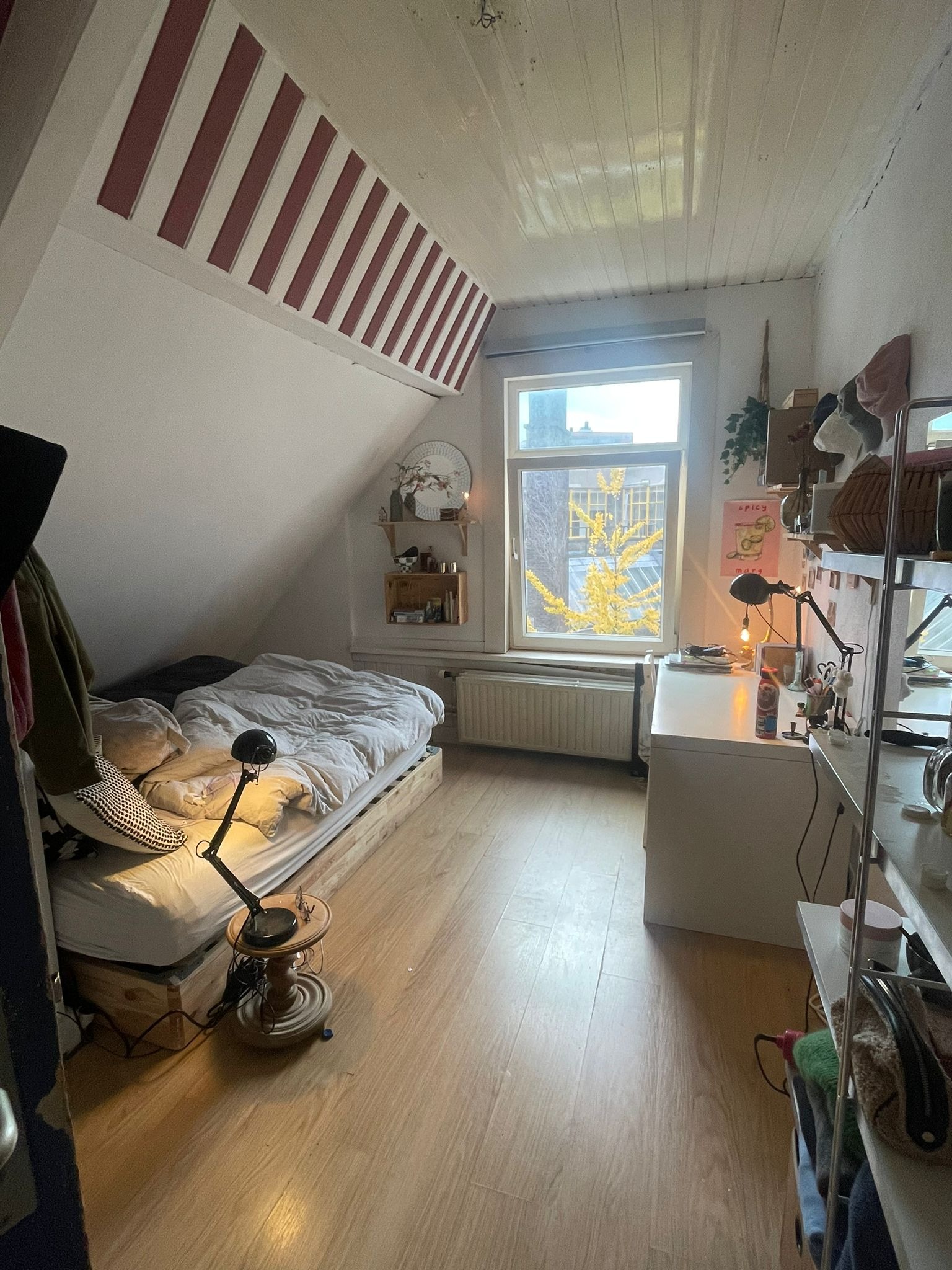 Room Hooikade in Delft
