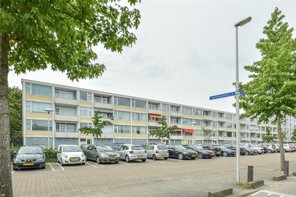 Appartement - Eisenhowerlaan/Utrecht (€895.00/68.00m2)