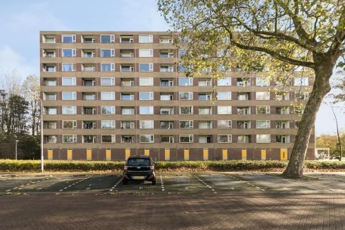 Appartement Fluitekruidweg in Zaandam
