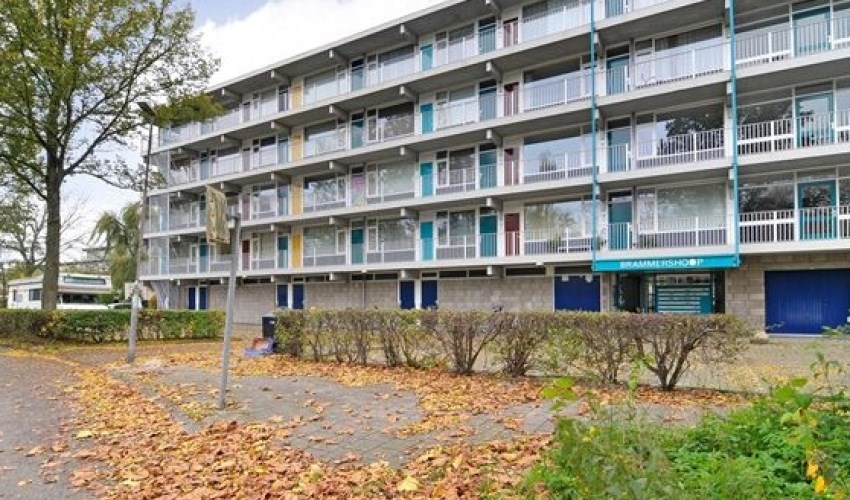 Apartment Brammershoop in Haarlem