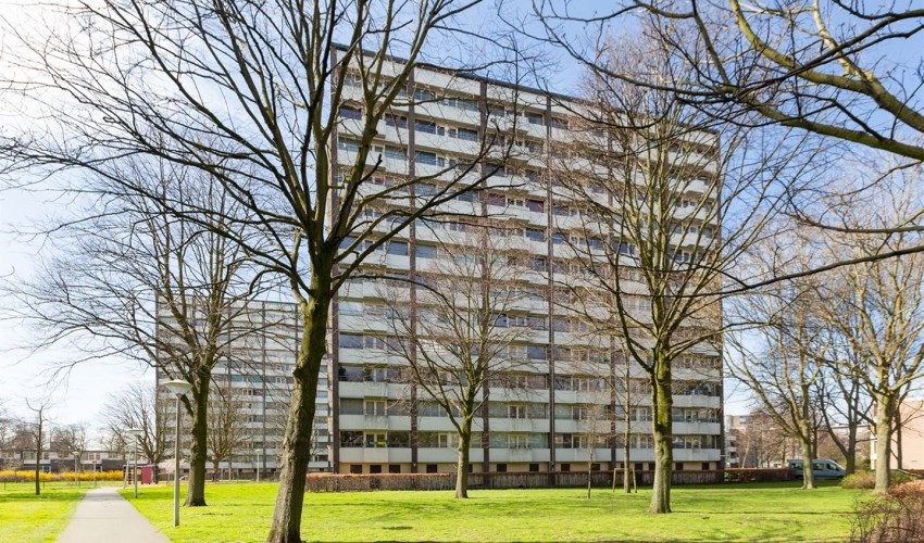 Appartement - Roggekamp/Den Haag (€800.00/32.00m2)