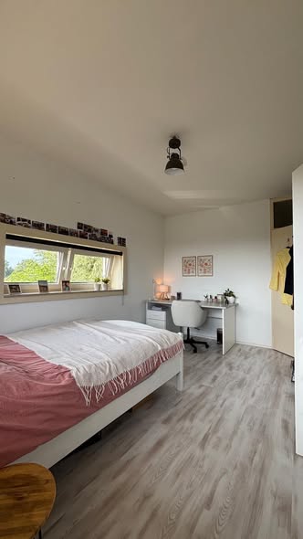 Room Paddepoel in Groningen