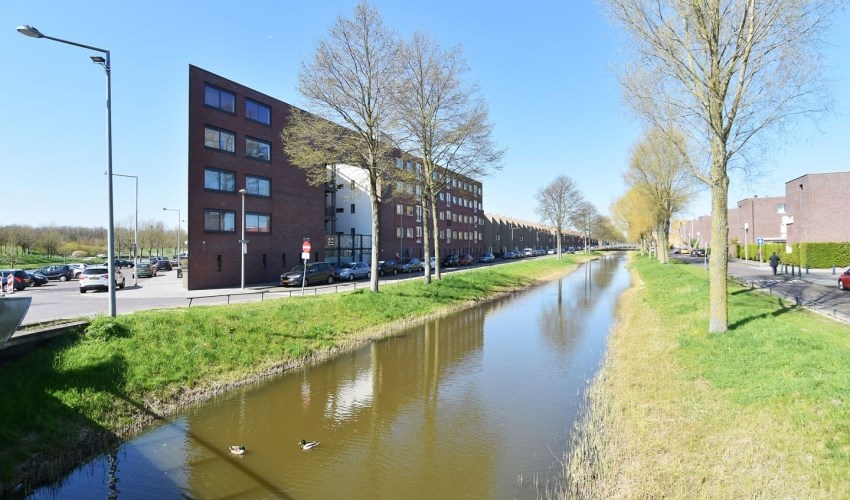 Apartment Snoekbaarssingel in Den Haag