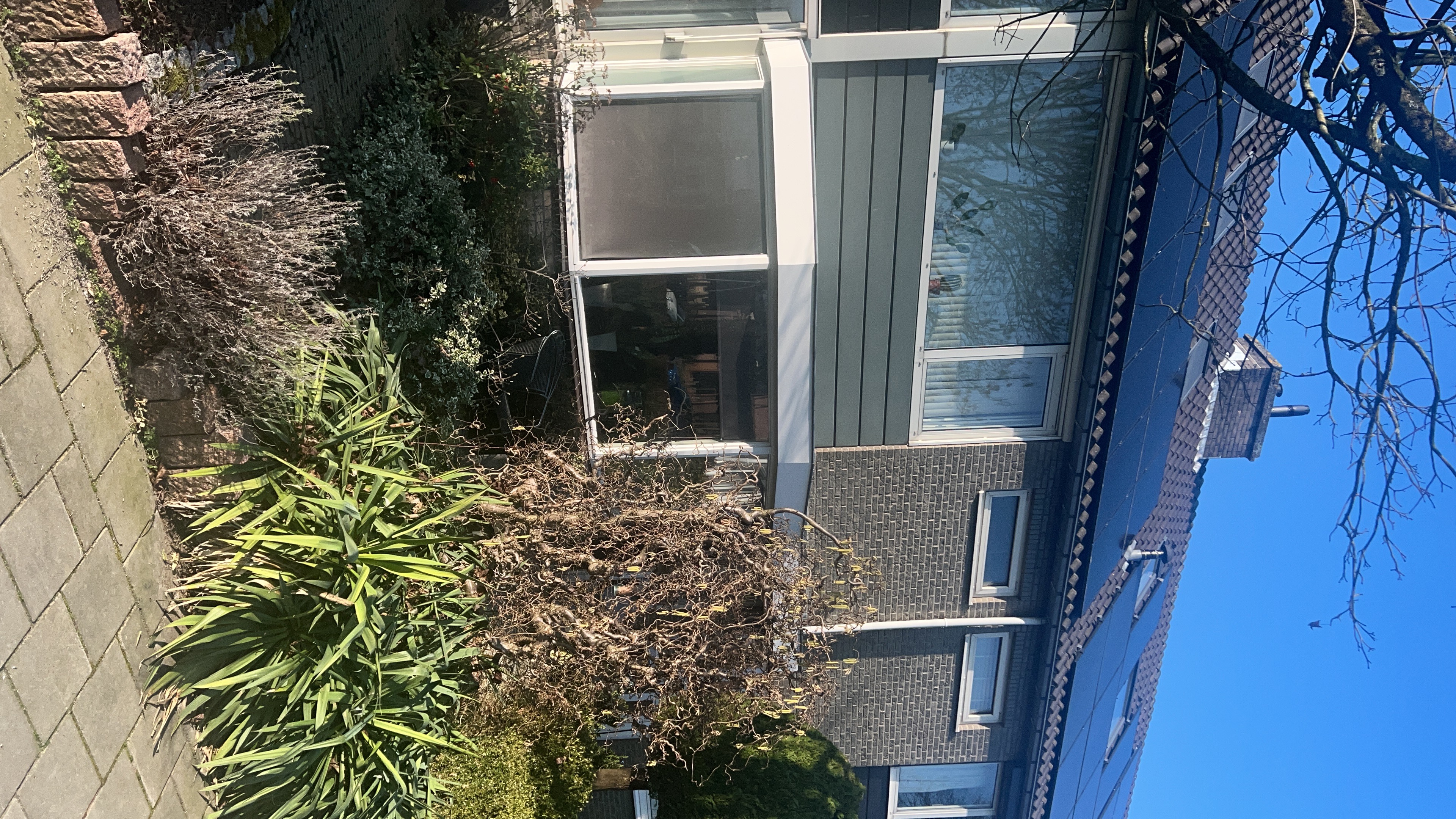 Kamer - Schermerhorn-lanen/Woerden (€450.00/25.00m2)