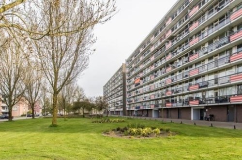 Apartment Trekvogelweg in Amersfoort