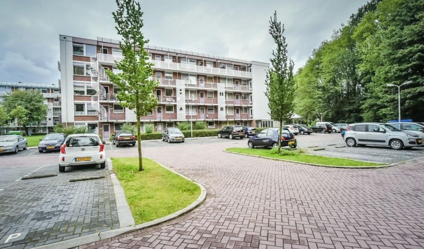 Appartement Leverkruidweg in Zaandam