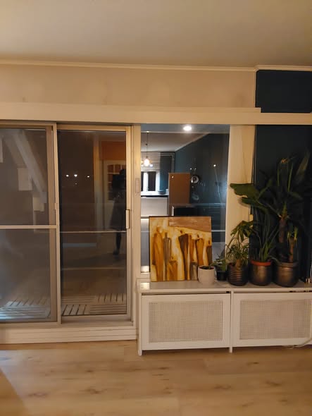 Kamer - Houtzaagmolen/Amsterdam (€670.00/20.00m2)