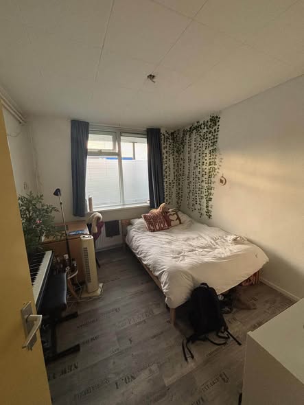Room Vlakbij het Stadspark in Groningen