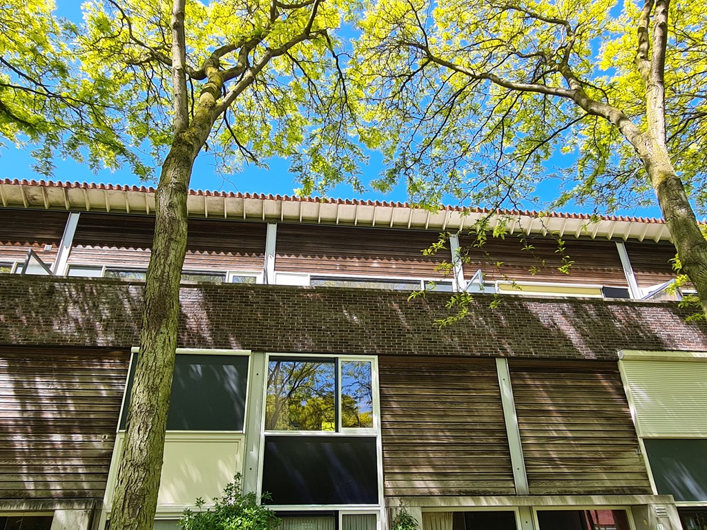 Apartment Liedekerkeplantsoen in Amsterdam