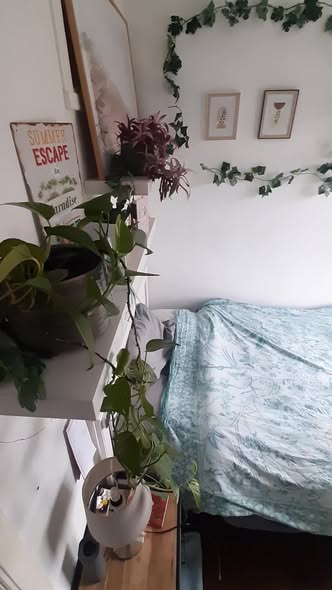 Kamer Rivierenbuurt in Amsterdam