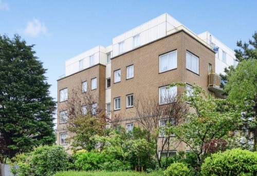 Apartment Louis Davidsstraat in Den Haag