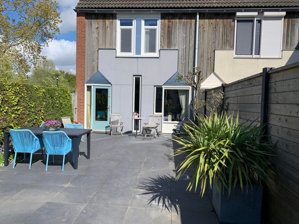 House Kanariesprenk in Vlissingen