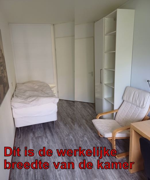 Room Gouden Leeuw in Amsterdam