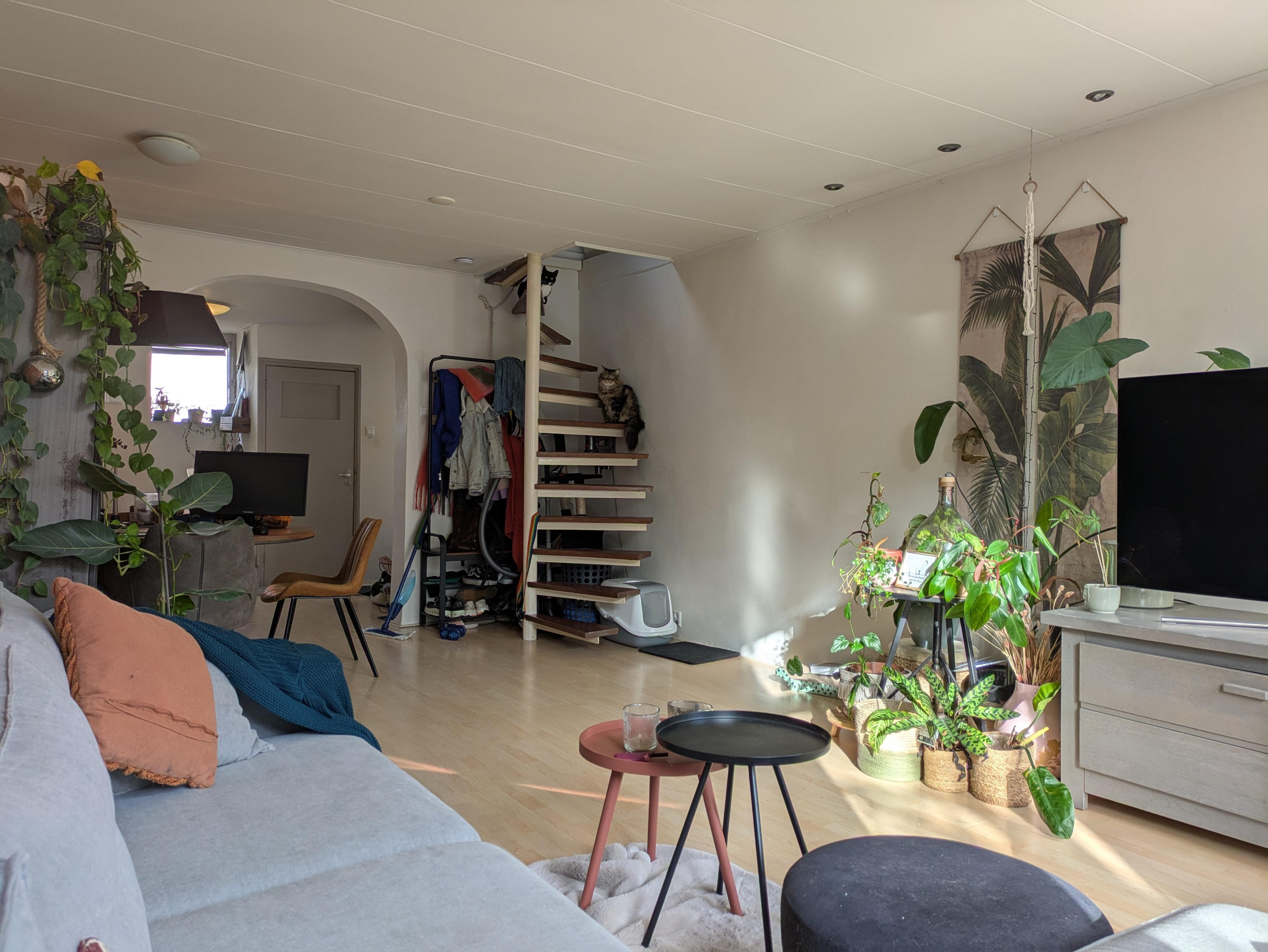 House Gedempte Nieuwesloot in Alkmaar