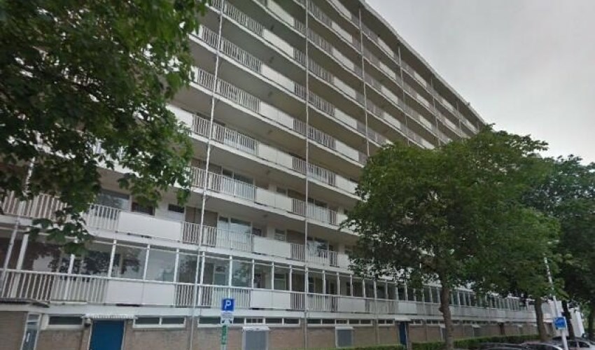 Apartment Suze Groeneweglaan in Rotterdam