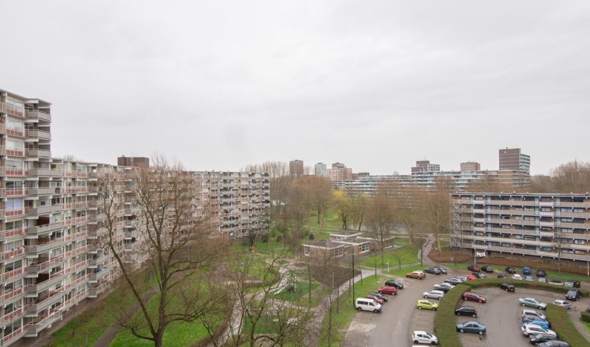 Apartment Jonkerbos in Zoetermeer